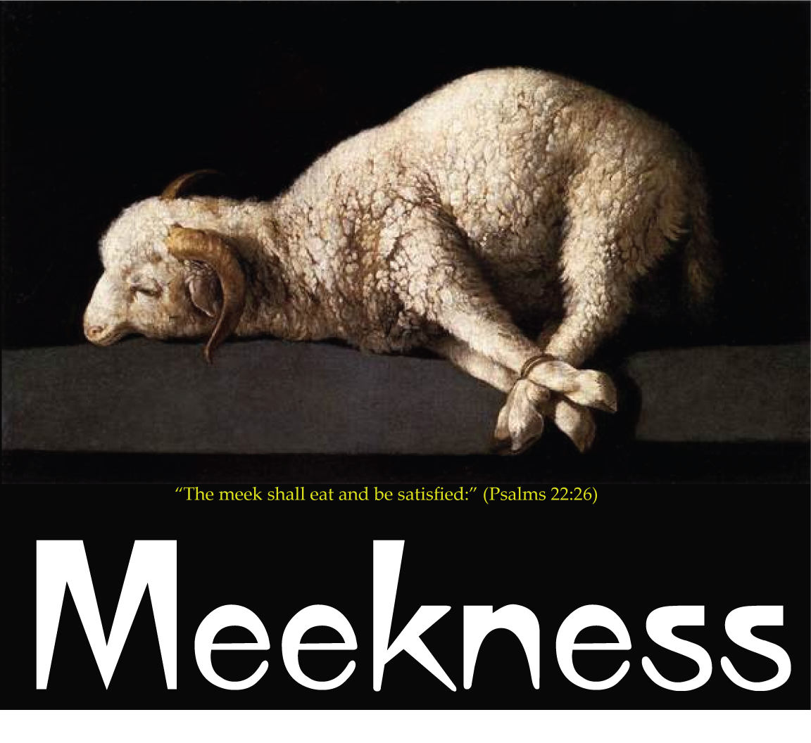 the-actual-meaning-of-meek-praus-which-is-translated-as-strength